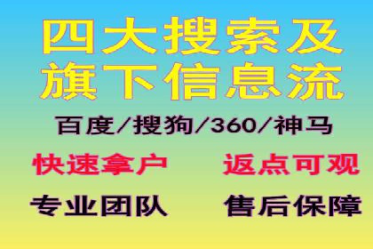 竞价SEM托管服务：成功案例揭秘